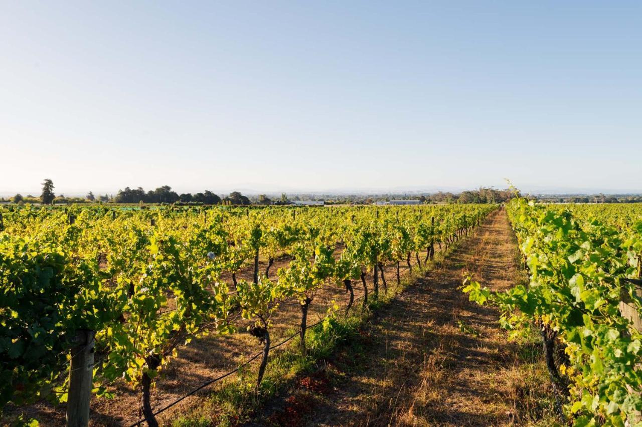 305 In The Vines Villa Havelock North Exterior photo