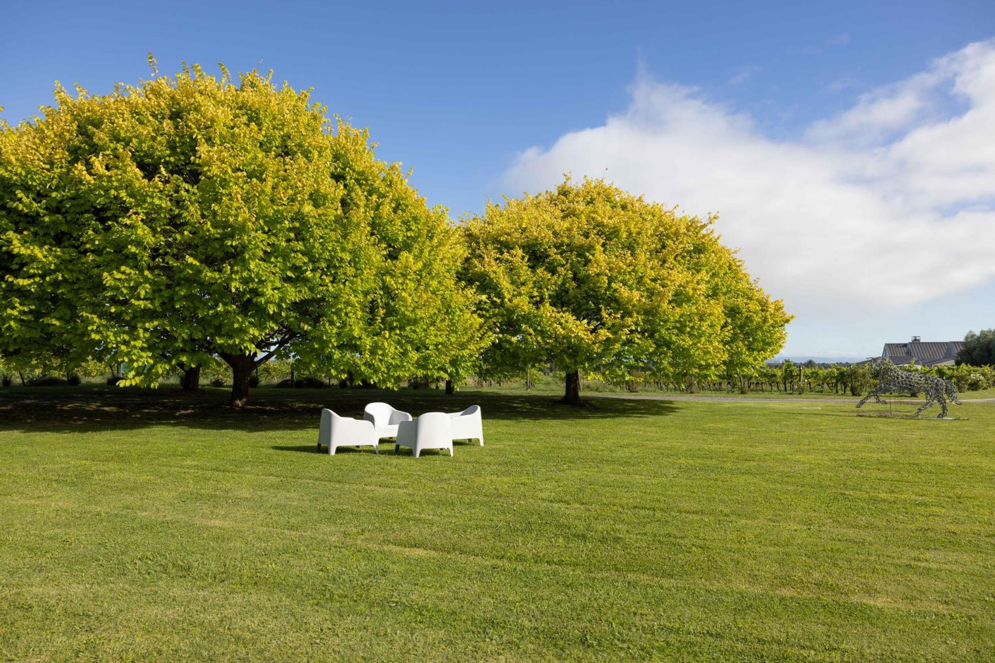 305 In The Vines Villa Havelock North Exterior photo